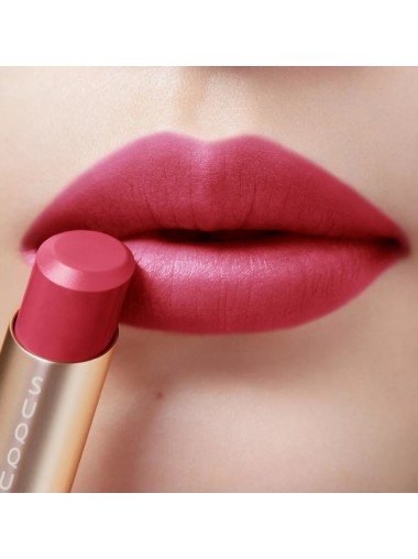 SUQQU Vibrant Rich Lipstick (2 colours 118Hananusumi / 119Koikage)